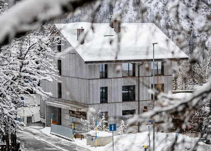 Haus Burgermeister Erzhorn Appartement Arosa